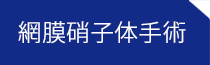 福岡の川原眼科の診療メニュー網膜硝子体手術