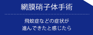 福岡の川原眼科の診療メニュー網膜硝子体手術