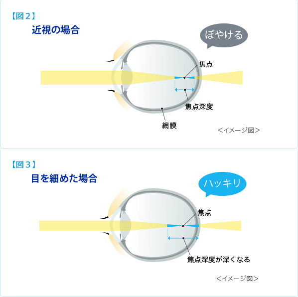 目 を 細める 視力